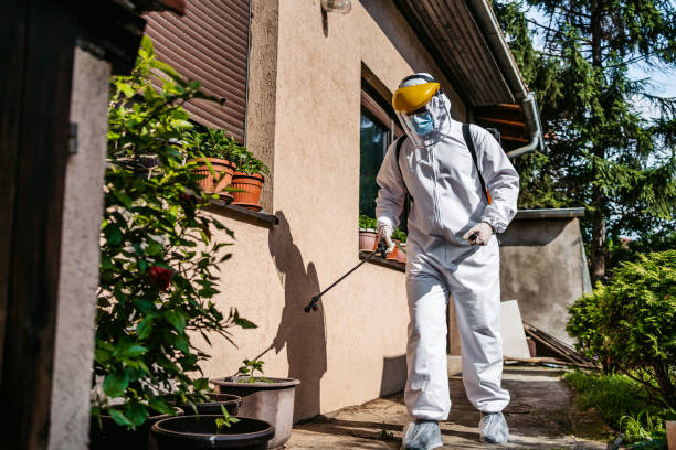Reliable Mount Joy, PA Pest Control Solutions