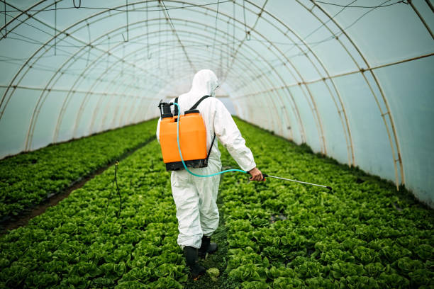 Best Affordable Pest Control Services  in Mount Joy, PA