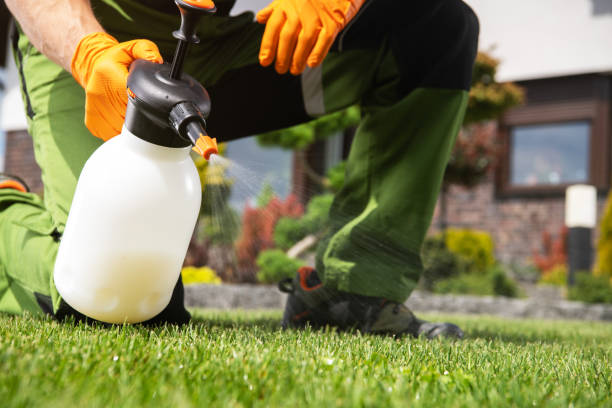 Best Mosquito Control Services  in Mount Joy, PA