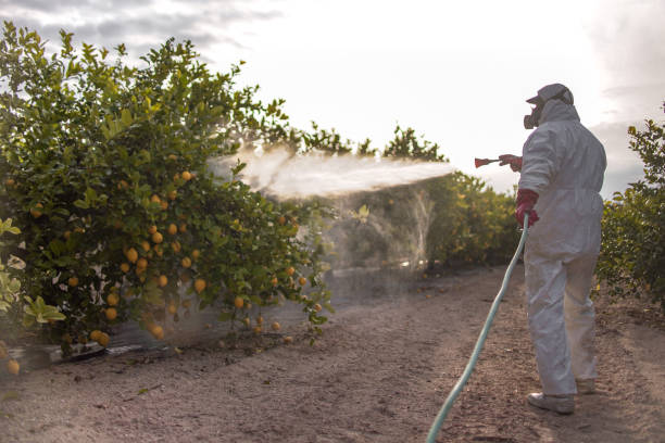 Best Mosquito Control Services  in Mount Joy, PA