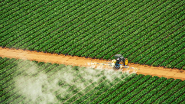 Best Commercial Pest Control Services  in Mount Joy, PA