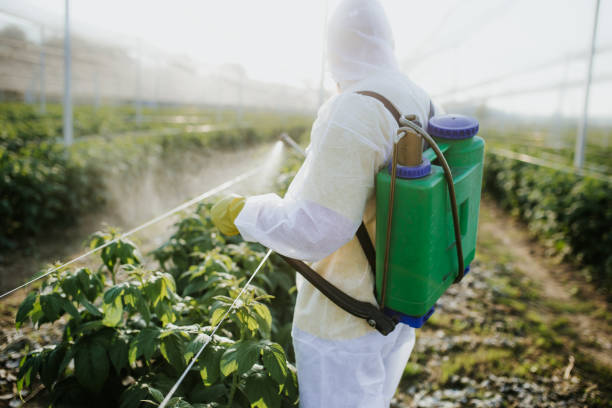 Best Termite Control Services  in Mount Joy, PA